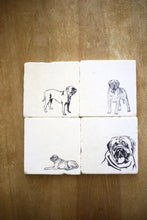 English Mastiff Coaster Set of 4