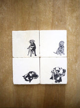 Black Lab Coaster Set of 4