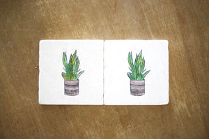 Snake Plant Marble Coaster Set