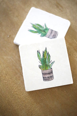 Snake Plant Marble Coaster Set