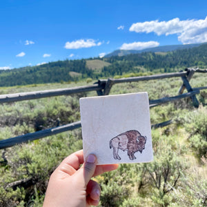 Buffalo Bison Marble Coasters