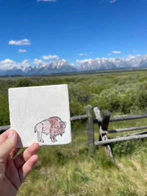 Buffalo Bison Marble Coasters