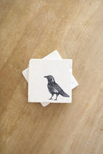 Raven Black Bird Coasters