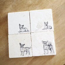 Chihuahua coasters