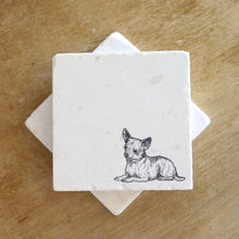 Chihuahua coasters