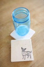 Chihuahua coasters