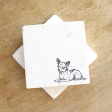 Chihuahua coasters