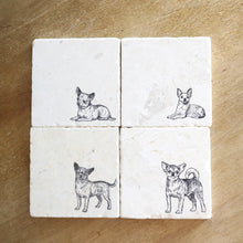 Chihuahua coasters