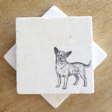Chihuahua coasters