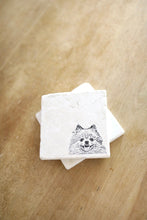 Pomeranian Coasters