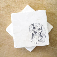 Beagle Dog Marble Coasters
