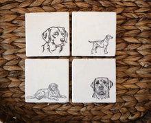 Lab Coaster Set of 4