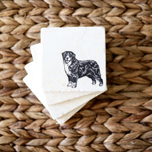 Personalized Bernese Mountain Dog Coasters, Housewarming Gift