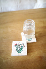 Ocotillo Cactus Marble Coasters