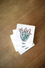Ocotillo Cactus Marble Coasters