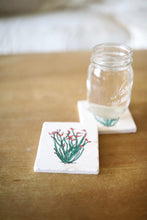 Ocotillo Cactus Marble Coasters