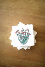 Ocotillo Cactus Marble Coasters