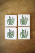 Organ Pipe Cactus Coasters