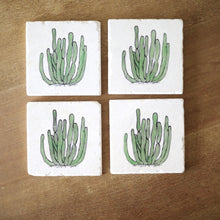 Organ Pipe Cactus Coasters