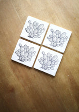 Prickly Pear Cactus Marble Coaster Set