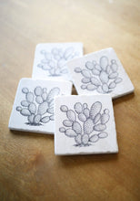 Prickly Pear Cactus Marble Coaster Set
