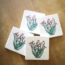 Ocotillo Cactus Marble Coasters