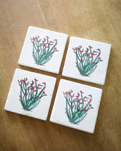 Ocotillo Cactus Marble Coasters