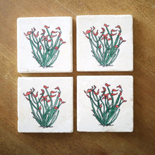 Ocotillo Cactus Marble Coasters
