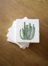 Organ Pipe Cactus Coasters