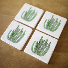 Organ Pipe Cactus Coasters