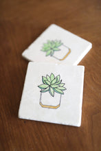 Geometric Potted Succulent Coaster Set