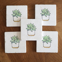 Geometric Potted Succulent Coaster Set