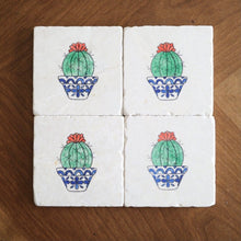Flowering Barrel Cactus Coasters