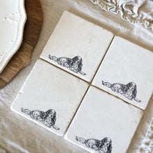 King Charles Spaniel Coasters