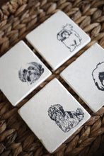 Shih Tzu Coaster Set