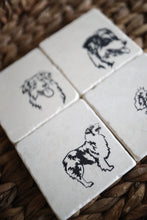 Australian Shepherd Coaster Set- Aussie dog coasters, personalized pet coasters, housewarming gift, Aussie home decor, Aussie gift