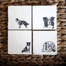 Border Collie Coasters/ Boder collie gift/ border collie mom/ border collie home decor/ custom border collie gift