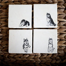 Husky Dog Marble Coaster Set