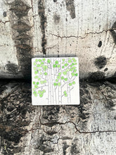 Aspen Tree Marble Coasters