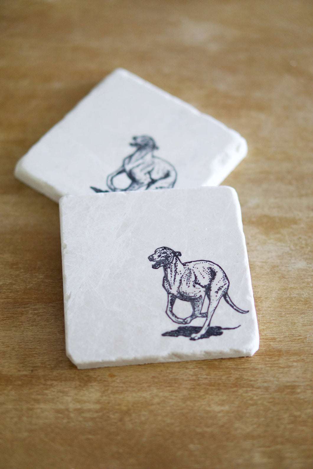 Greyhound Dog Marble Coasters - Lace, Grace & Peonies