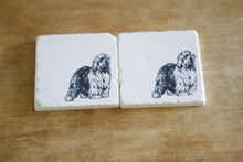 Old English Sheepdog Coasters - Lace, Grace & Peonies