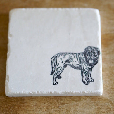 Dogue de Bordeaux Coasters - Lace, Grace & Peonies