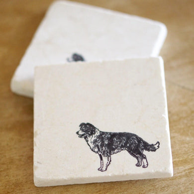 Border Collie Dog Marble Coaster Set - Lace, Grace & Peonies