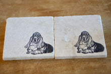 Basset Hound Marble Coasters - Lace, Grace & Peonies