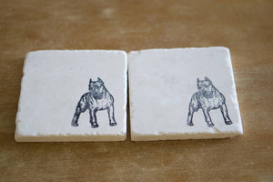 Pitbull Dog Marble Coasters - Lace, Grace & Peonies
