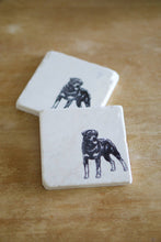 Rottweiler Dog Coasters - Lace, Grace & Peonies