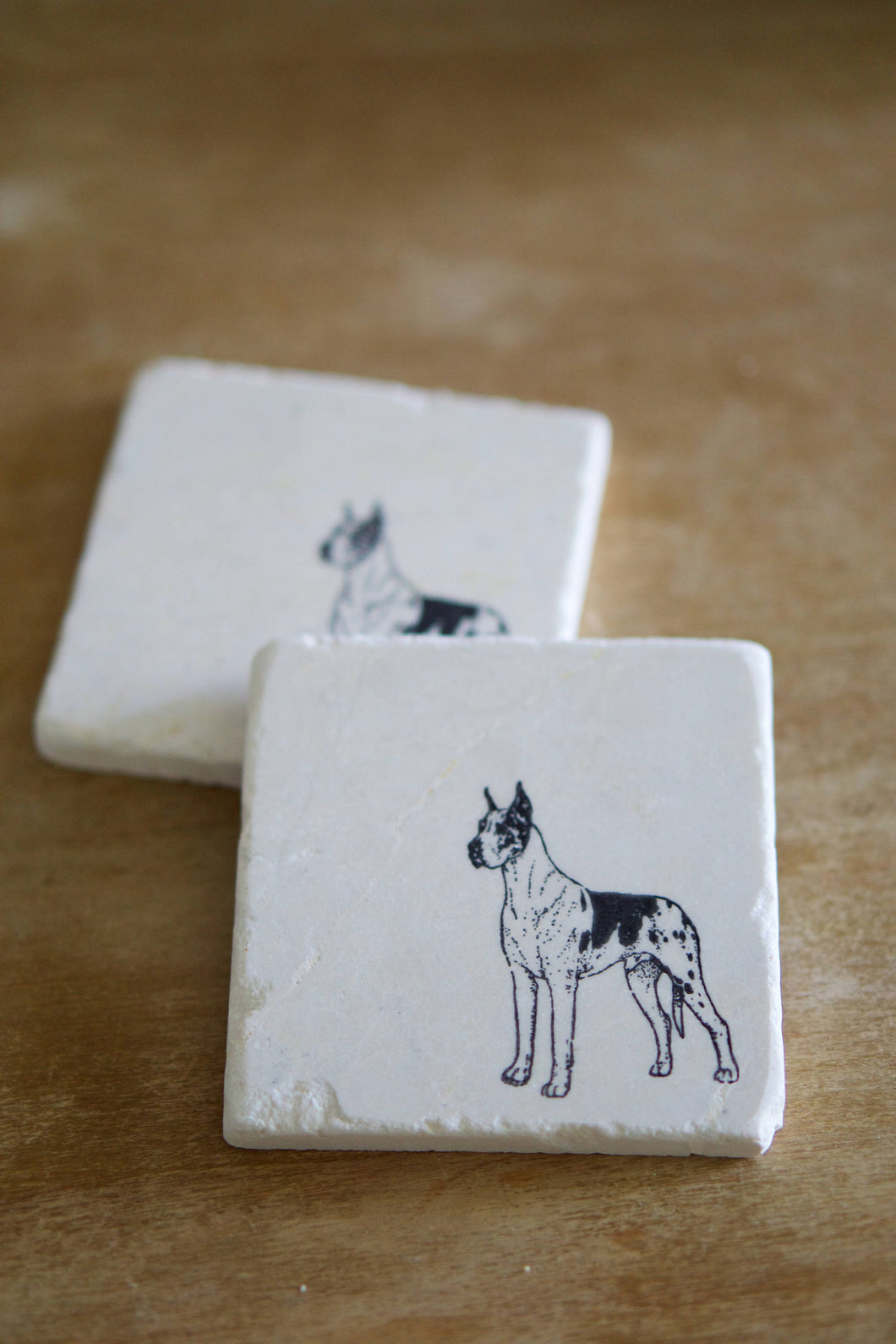 Great Dane Dog Marble Coasters - Lace, Grace & Peonies