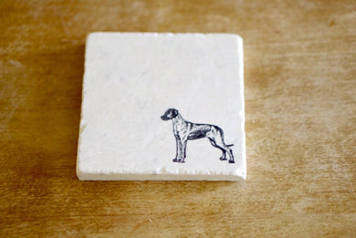 Rhodesian Ridgeback Dog Marble Coasters - Lace, Grace & Peonies