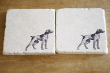 German Short Hair Pointer Marble Coasters - Lace, Grace & Peonies