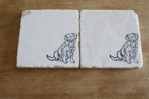 Nova Scotia Duck Tolling Retriever Marble Coasters / Nova Scotia Retriver gift/ marble coasters/ marble coaster set/ drink coasters/ stone